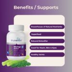 Moringa benefits And Supports